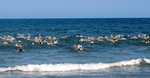 1 Mile Ocean Swim