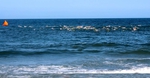 1 Mile Ocean Swim